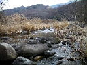 2007-04-08 016.JPG